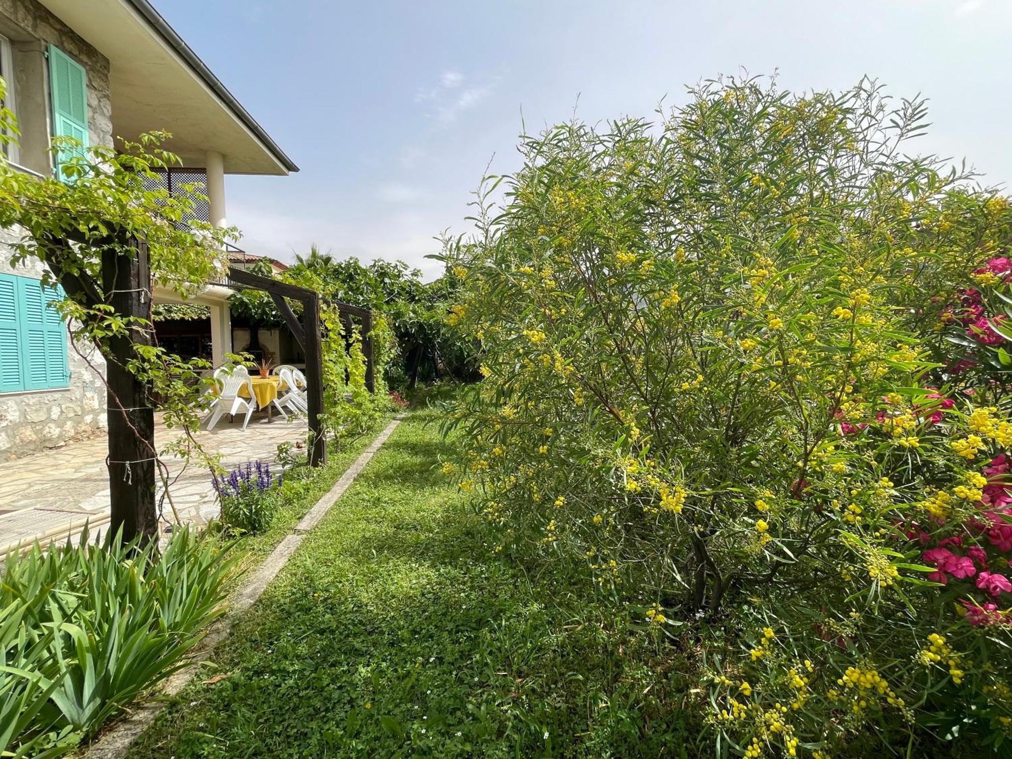 Bas De Villa Avec Acces Piscine Pres De Nice Cannes Monaco Carros Dış mekan fotoğraf